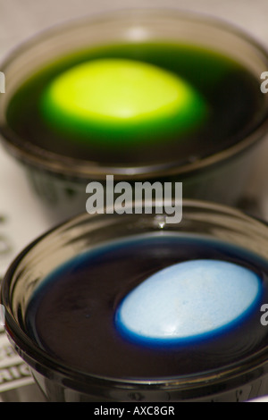 Easter eggs in the process of being dyed Stock Photo