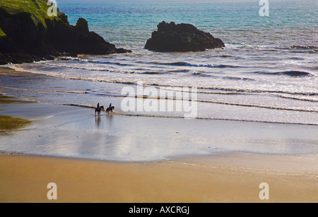 Horse riding on Stradbally Strand, the Copper Coast, County Waterford, Ireland Stock Photo