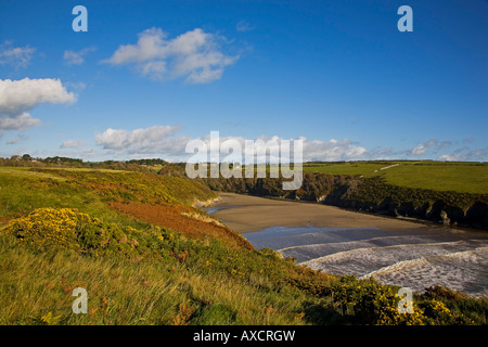 Stradbally Cove, The Copper Coast, County Waterford, Ireland Stock Photo