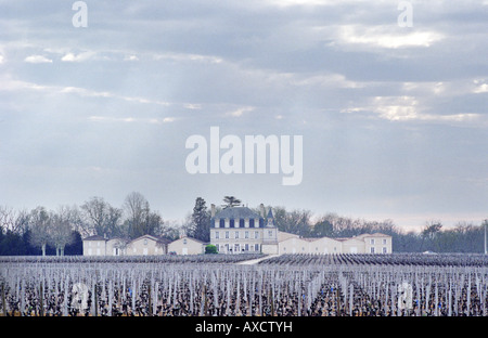 Vineyard. Chateau Grand Puy Lacoste, Pauillac. Medoc, Bordeaux, France Stock Photo