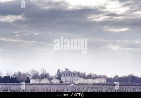 Vineyard. Chateau Grand Puy Lacoste, Pauillac. Medoc, Bordeaux, France Stock Photo