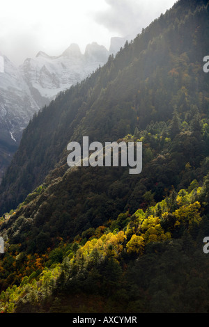 Streak of autumn in Meili Snow Mountains National Park, Kawa Karpo Range, Yubeng, Yunnan, China Stock Photo