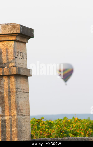 Vineyard and hot air balloon. Over Clos des Epenots. Pommard, Cote de ...