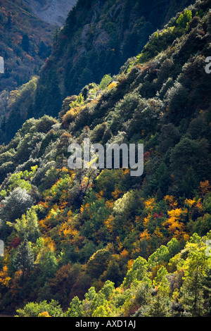 Autumn colors and prayer flags, Yubeng, Yunnan, China Stock Photo