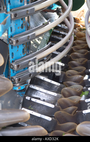 Mechanical harvesting tractor. Interior with conveyor belt and vibrating bars. Chateau de Haux, Bordeaux, France Stock Photo