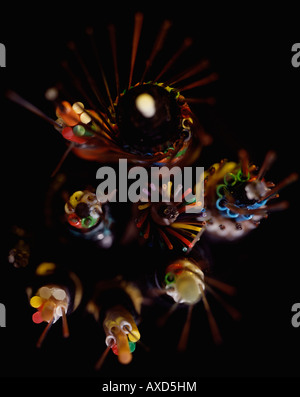 Head on view of various optical fibre cables Stock Photo