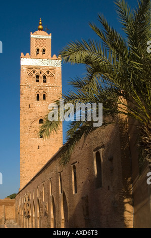 Vertical view of the Koutoubia Mosque and surrounding palm trees in the centre of Marrakesh on a sunny day. Stock Photo