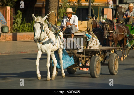 Horizontal streetscene of a donkey and cart trotting through the streets of Marrakesh in the sunshine. Stock Photo