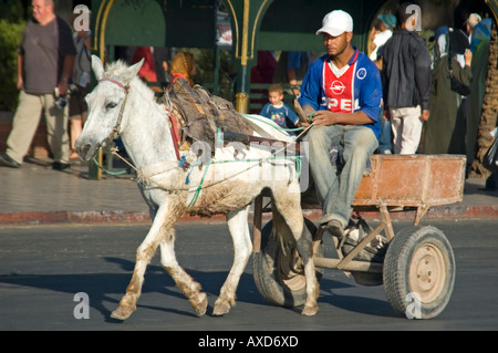 Horizontal streetscene of a donkey and cart trotting through the streets of Marrakesh in the sunshine. Stock Photo