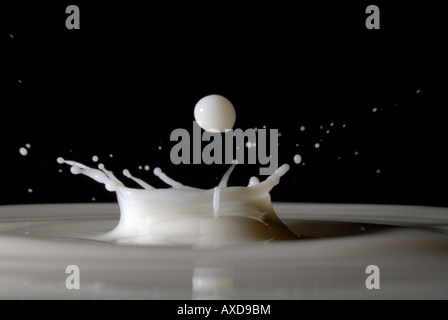 Drops of milk splashing Stock Photo