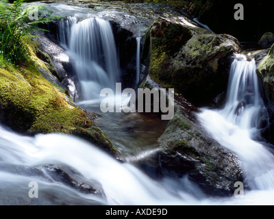 Waterfall in Nant Gwernol ravine Gwynedd Stock Photo