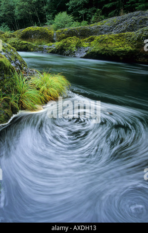 Swirling eddie in the Clackamas River, Mount Hood National Forest, Cascade Mountain Range, Oregon, USA Stock Photo