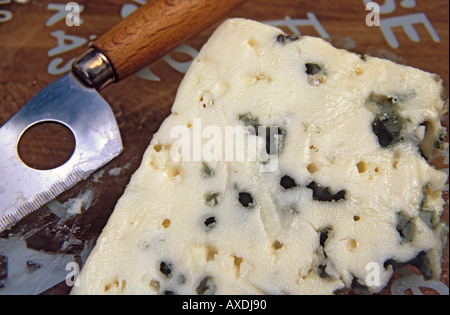 Roquefort French blue cheese from ewes milk in Roquefort sur Soulzon near Millau in the Parc Regional des Grand Causses Stock Photo