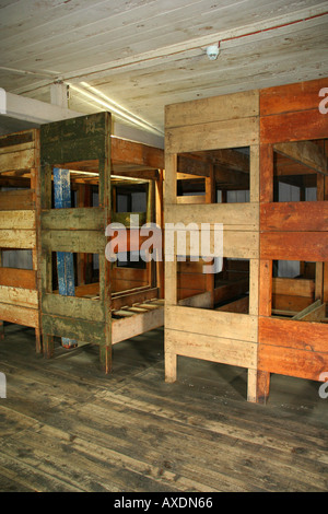 Bunker beds in Stutthof Concentration Camp Stock Photo