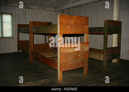 Bunker beds in Stutthof Concentration Camp Stock Photo