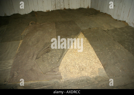 Primitive beds in Stutthof Concentration Camp Stock Photo