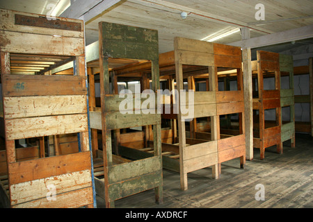 Bunker beds in Stutthof Concentration Camp Stock Photo