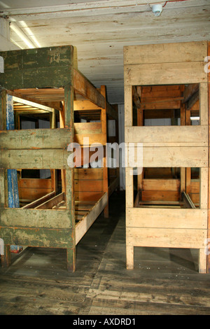 Bunker beds in Stutthof Concentration Camp Stock Photo