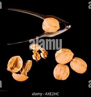 Walnuts with nutcracker Stock Photo