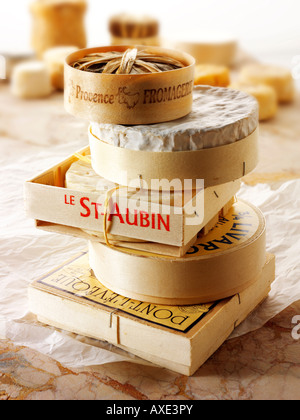 Traditional soft French cheeses - St Aubin, Camembert, Bannon, Pont L'eveque and Liverac Stock Photo