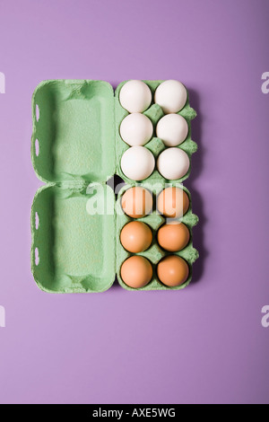 White and brown eggs in box, elevated view Stock Photo