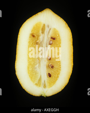 Section of a citron Citrus medica fruit showing skin thickness seeds Stock Photo