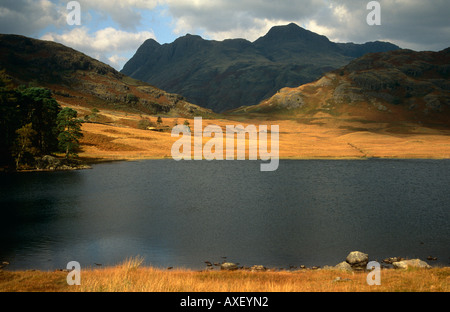 Langdale Pikes from Blea Tarn, Lake District National Park, Cumbria, England, UK