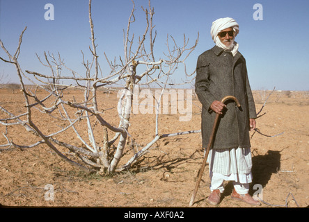 Africa Egypt Bedouin farmers Stock Photo