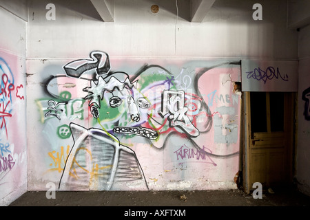 Graffiti in a brownfield site factory, at Vichy (France). Graffiti dans une usine désaffectée de Vichy (Allier - France). Stock Photo