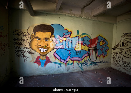 Graffiti in a brownfield site factory, at Vichy (France). Graffiti dans une usine désaffectée de Vichy (Allier - France). Stock Photo