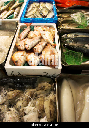 Different types of fish for sale in containers at tokyo fish market. Stock Photo