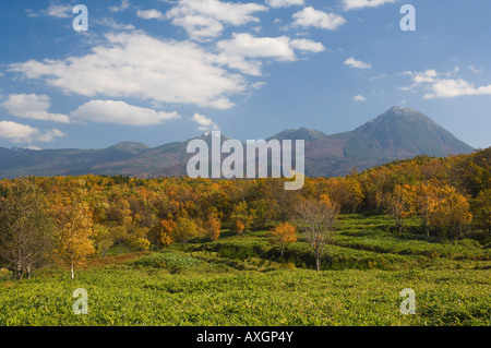 Forest and Mountains, Mount Rausu, Shiretoko National Park, Hokkaido, Japan Stock Photo