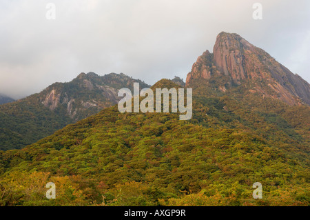 Okudake Mountains, Yakushima, Kyushu, Japan Stock Photo