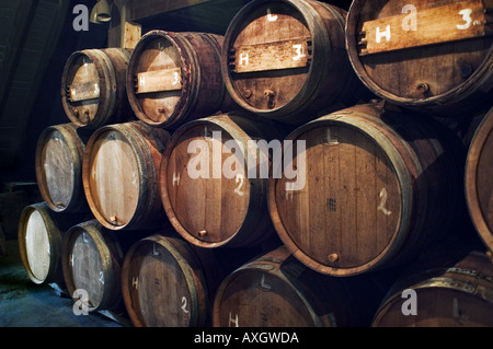 beer barrels in a cellar in Brussels Stock Photo