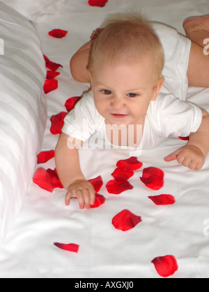 confident 6 months old Baby on bed with red petals zufriedenes 6 Monate altes Baby auf Bett mit roten Blütenblättern Stock Photo