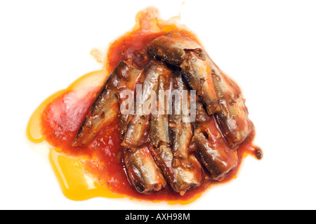 Oily sardines in tomato sauce Stock Photo