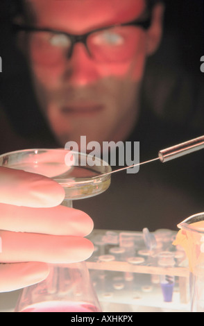 researcher extracting modified DNA from sample Stock Photo