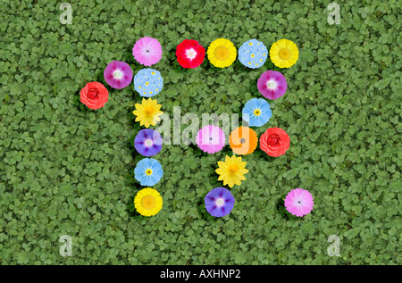 number 17 written with flowers 17th Stock Photo