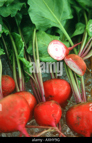 ILLINOIS Richmond Organic red beets on ice at farmers market one vegetable sliced in half Stock Photo