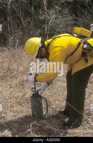 Fire fighters use drip torches to set backfire along a fireline Stock ...