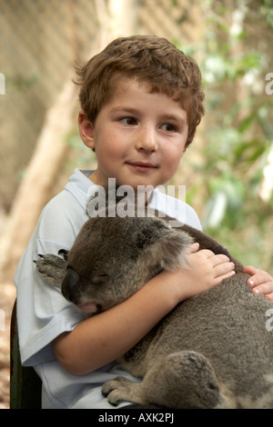 Young boy child holding a Koala bear in Lone Pine Koala Sanctuary wildlife reserve zoo Brisbane Queensland QLD Australia NAOH Stock Photo