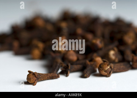 Stock photo of a pile of cloves The clove is a spice used as an ingredient in many recipes and also for medicinal purposes Stock Photo