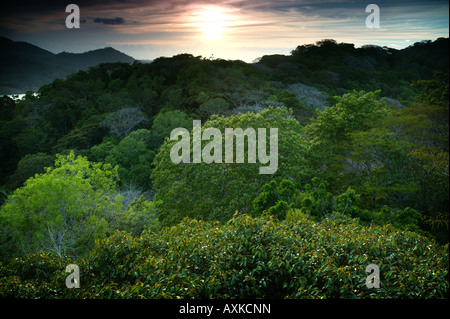 Beautiful sunset in the rainforest of Soberania national park, Republic of Panama. Stock Photo