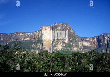 Angel Falls, Guayana, Venezuela, South America Stock Photo