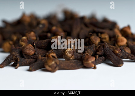 Stock photo of a pile of cloves The clove is a spice used as an ingredient in many recipes and also for medicinal purposes Stock Photo