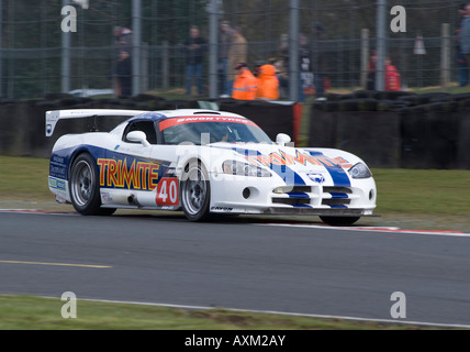 Dodge Viper Competition Coupe Sports Racing Car in British GT Championship at Oulton Park Motor Race Circuit Cheshire England Stock Photo