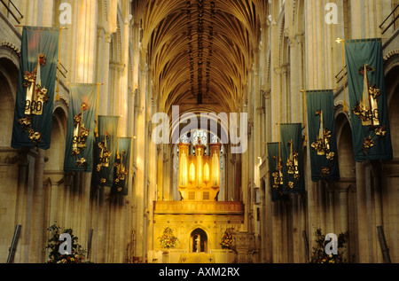Norwich Cathedral Nave Organ Interior Norfolk East Anglia England UK travel tourism history historical English Medieval Stock Photo