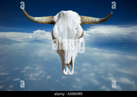 Cow skull over clouds Stock Photo