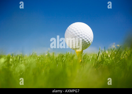 Golf ball on tee in grass outdoors Stock Photo