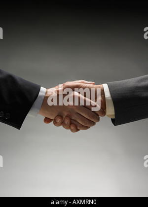 Two men shaking hands Stock Photo